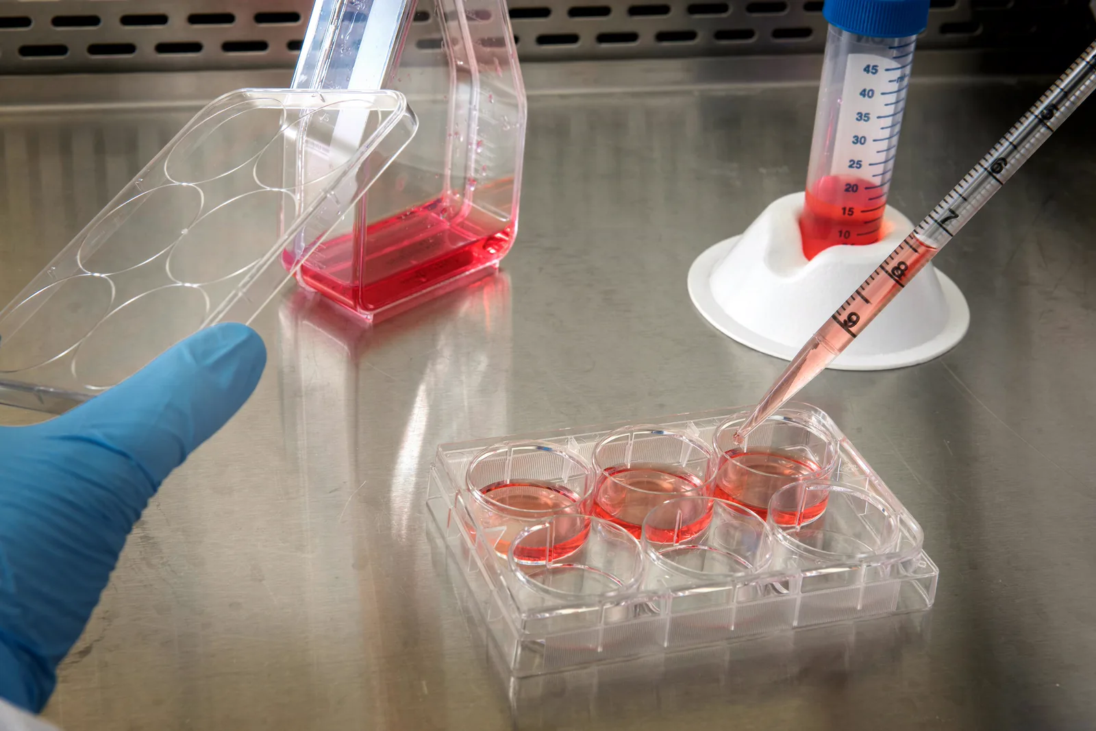 Biopharmaceutical & pharmaceutical manufacturing